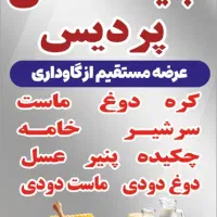 فروشنده خانوم لبنیاتی