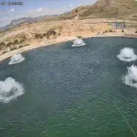 استخدام کارگر جهت پرورش ماهی