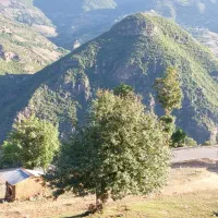 زمین ۲۱۶ متری ییلاق جنت رودبار - سیب کوه