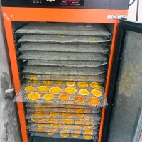 میوه خشک کن مشگین شهر