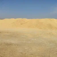 کاه گندم خوشه