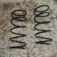 فنر پارس برای کپ کردن