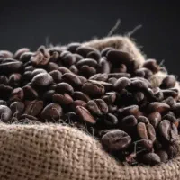 فروش انواع دانه قهوه نازل ترین قیمت