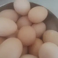 تخم مرغ محلی محلی