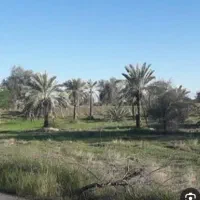 فروش-یکباب-خانه