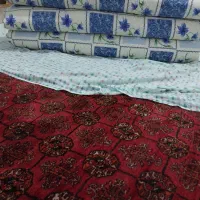 ۳ تا تشک نو به فروش میرسد