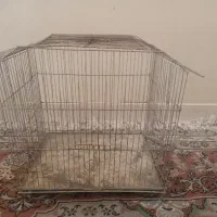 قفس پرنده