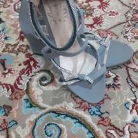 کفش مجلسی