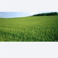 زمین فروشی