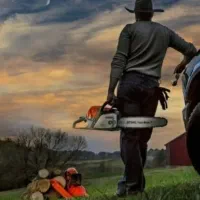 خرید و برش چوب