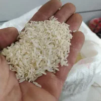برنج دمسیاه
