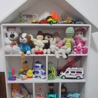 شلف کلبه