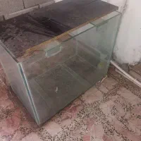 اکواریوم شیشه ای بزرگ
