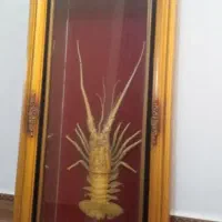 تابلو شاه میگو