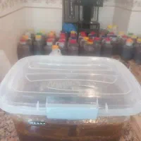 عسل سردسیر