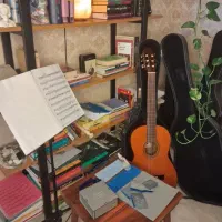 فروش‌گیتار در حد نو