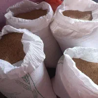 فروش دانه تروپ درجه یک
