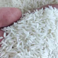 برنج