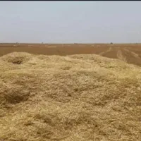 کاه فروشی