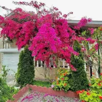 فروش-ویلا-104-متر-سنددار-بسیج-دو-بر