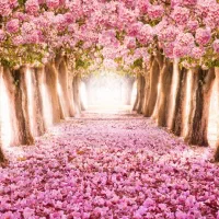 پوستر 3بعدی وکاغذ دیواری