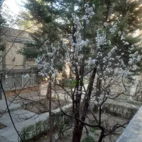 فروش-آپارتمان