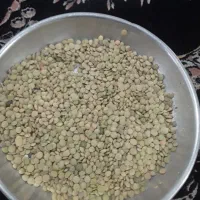 عدس محلی