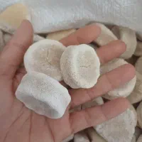 کشک محلی بز