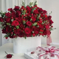 گل طبیعی گل و گیاه گل گل خواستگاری هدیه رز ۸۰تومن