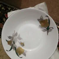 ظروف چینی
