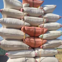 فروش کاه به شرط تمیزی