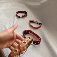 قلاده سگ و گربه