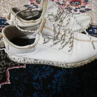 کفش سالم تمیز