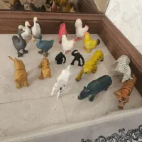 حیوانات وحشی و اهلی جنس خوب قیمت ارزون