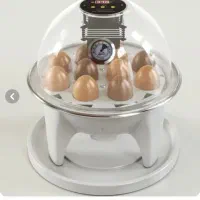 دستگاه جوجه کشی نیمه اتوماتیک