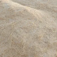 کاه گندم خریدارم