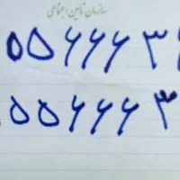 خط تلفن ثابت رند