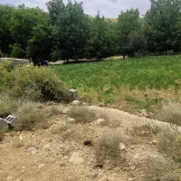 باغ-1000-متری-در-استان-فارس-شیر-بابا