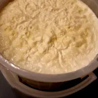ماست خالص گوسفندی پرچرب و خوشمزه ،فطیر شیری مغزدار