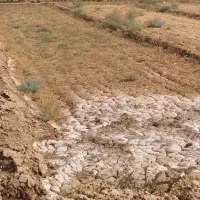 40متری-تجاری