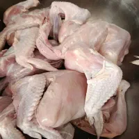 مرغ سالم کشتارگاهی برای پت