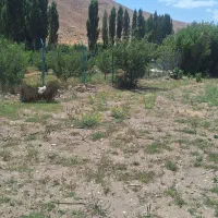 زمین فروشی شهر فیروزکوه