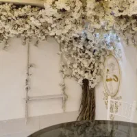 تالار بزرگ سناتور عروسی ترحیم تولد مهمانی