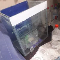 اکواریوم ماهی