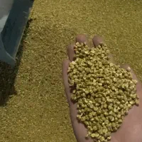 انواع گرانول pp