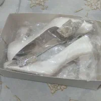 کفش مجلسی