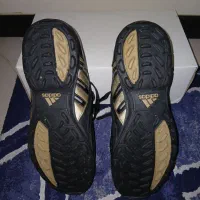 استوک ریز