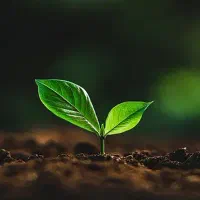 ترک مصرف قرص های متادون و B2