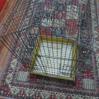 قفس  بلندی ۷۵ طول ۵۰ مخصوص عروس وپرندگان