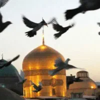 امام رضا 6 شهریور حرکت